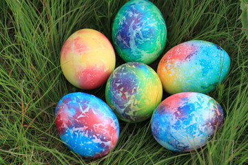 Colorful easter eggs on green grass background