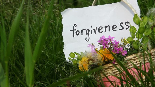 Forgiveness word on beautiful green nature background