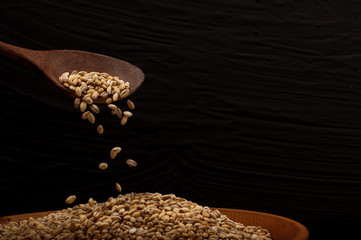 Whole grain of pearl barley or wheat spill on right black background. Agriculture food raw seed.