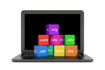 Internet Domain Names