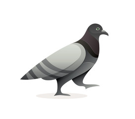 Pigeon Vector Logo