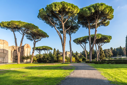 Rome, Italy. The ancient ruins of the thermae of the Emperor of Caracalla and the picturesque adjoining park, 217.