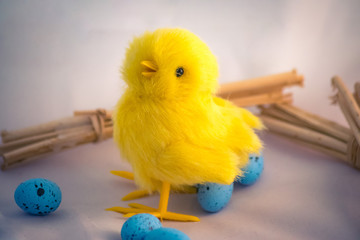 Easter Chick