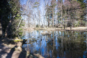Trees and pond in Seurasaari island in Finland
