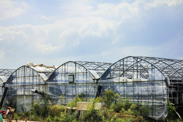 Obraz premium Clouds moving over green houses 