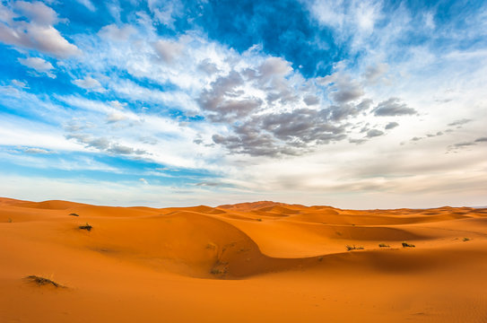 Sand dunes of Erg Chebbi, Morocco © javarman