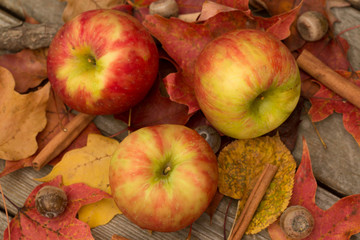 Apples and Fall Leaves