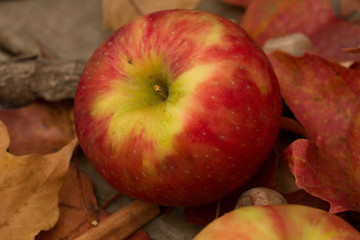 Apples and Fall Leaves