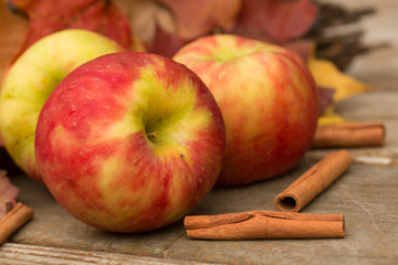 Apples, Cinnamon Sticks and Fall leaves © Carol