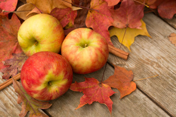 apples, Cinnamon Sticks and Fall leaves