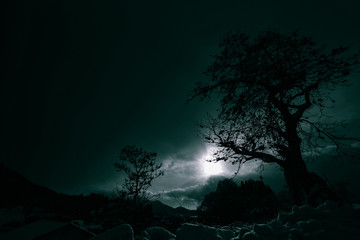 Fototapete bei efototapeten.de bestellen   