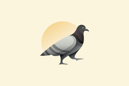 Pigeon Vector Logo