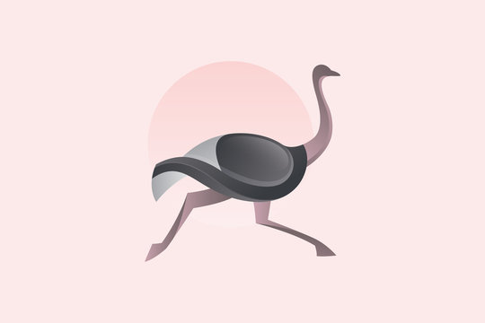Ostrich Running Vector Logo