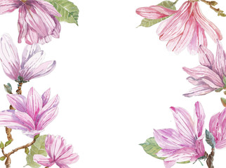 Watercolor branches of magnolia