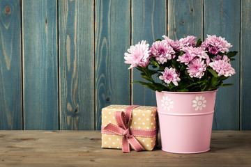 Fototapeta na wymiar Fresh pink chrysanthemum flowers in bucket and gift box