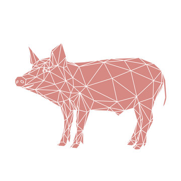 Maiale rosa, illustrazione vettoriale in stile moderno di polygoni