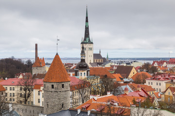 Obraz premium Rooftops in Tallinn, Estonia