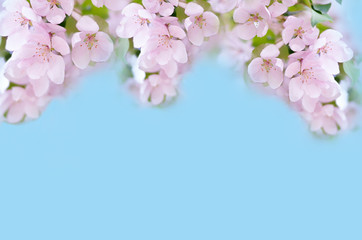 Plakat Яблоня в цвету.