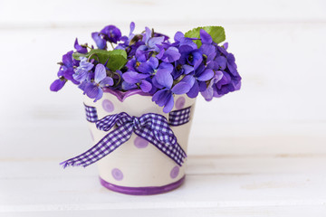 Beautiful bouquet of field violets in a small vase with dots and ribbon 