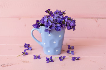Beautiful bouquet of  violets in a small vase with dots on a pink wooden background