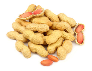peanuts isolated on the white background