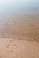 Offset Footprints In Sand Lake Michigan Beach Vertical