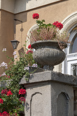Fototapeta na wymiar Beautiful stone vase with flowers in front of the house in the town of Keszthely. Hungary.