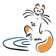 Cat stepped in a puddle