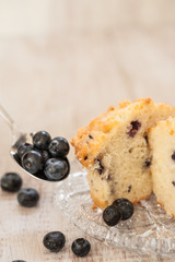 Blueberry Muffin on Plate with Spoonful of Blueberries