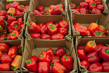 fresh red bell peppers on the market.