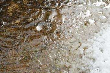 Agua