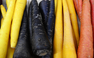 Yellow, black, orange and red carrots. Colorful carrots contain abundant of nutrients and anthocyanin.