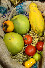 Fresh fruits of persimmon, pomelo, papaya, lemon and tomato in a bag