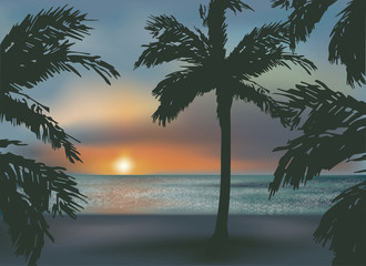 Beautiful southern sunset  sea, vector illustration