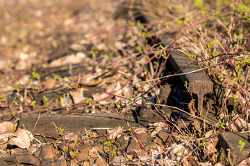 vom Gleis abgeschnitten