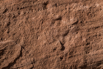 Close-up of the surface of Sandstone rock
