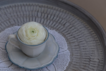 White ranunculus flower in cup placed on metal tray