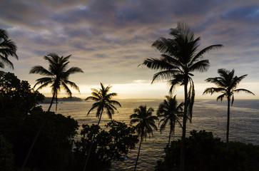 Obraz na płótnie Canvas Tropical beach in Sri Lanka