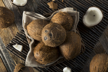 Raw Organic Tropical Brown Coconuts