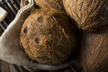 Raw Organic Tropical Brown Coconuts