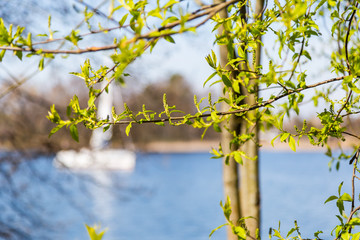Sailboat in Trakai, Lithuania