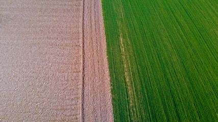 Natura e paesaggio: vista aerea di un campo, coltivazione, prato verde, campagna, agricoltura