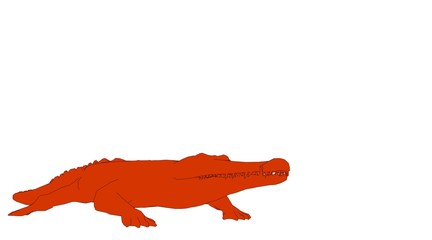 outlined crocodile isolated on white 3d rendering