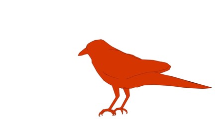 outlined a bird isolated on white 3d rendering