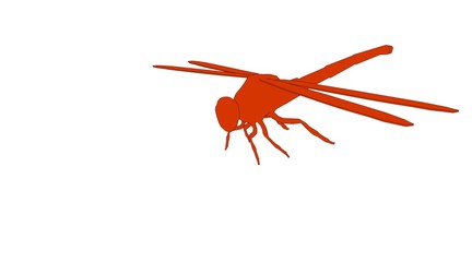 outlined dragonfly isolated on white 3d rendering