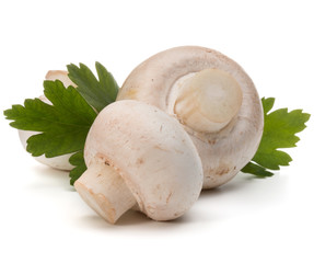 Champignon and parsley herb still life isolated on white background cutout