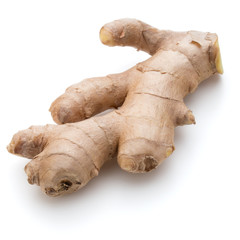 Fresh ginger root or rhizome isolated on white background cutout