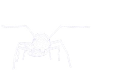 3d rendering of an outlined object