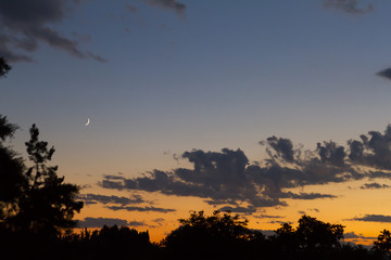 View of trees silhouettes at sunset with clouds and the moon