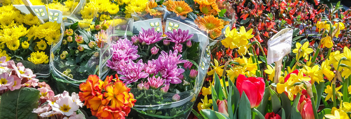 Blumen zum Verkauf